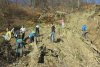 Volonteri u Željeznom Polju zasadili 2.000 sadnica, to će smiriti potencijalna klizišta